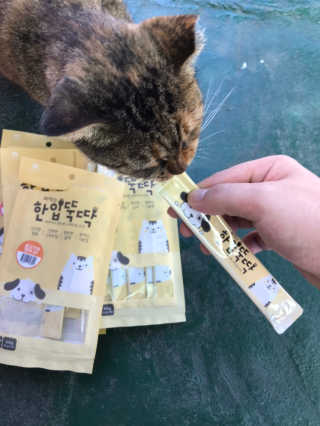 [펫토리아]짜먹는 한입뚝딱 강아지.고양이 마약간식 — 5점을 준 리뷰어가 2019년 8월 올린 사용 사진
