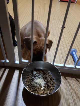탱크돌콩님이 올린 리뷰 사진 1