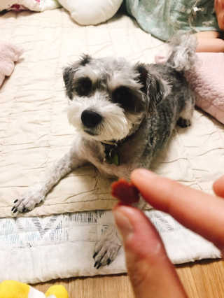 김가롱님이 올린 리뷰 사진 4