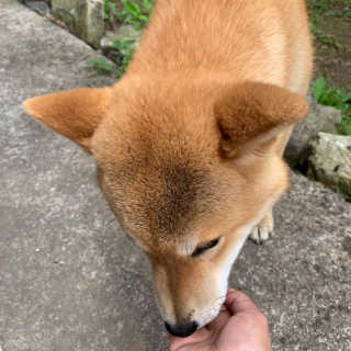 아라곤님이 올린 리뷰 사진 4