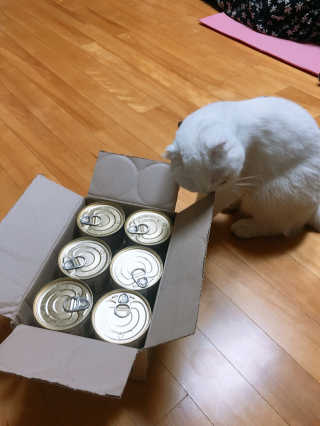 Dragonzoo님이 올린 리뷰 사진 2