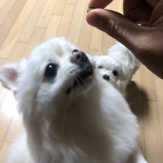 KimKyuTae님이 올린 리뷰 사진 1