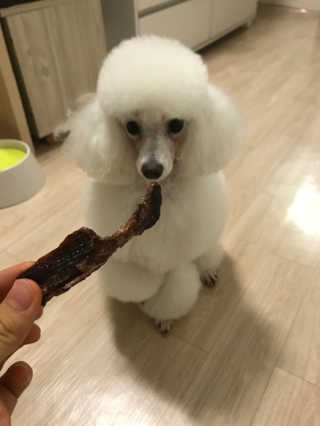 박세미님이 올린 리뷰 사진 4