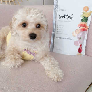 백설님이 올린 리뷰 사진 3