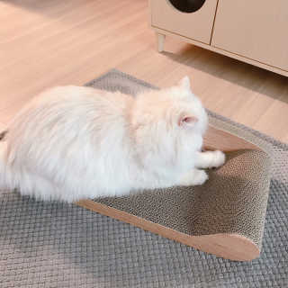 옘둥님이 올린 리뷰 사진 2
