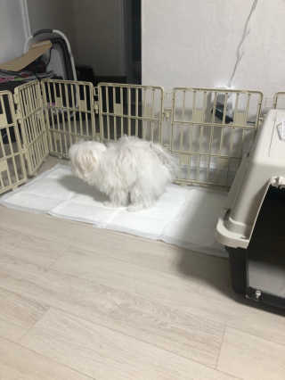 김연주님이 올린 리뷰 사진 3