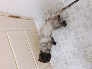 서인까꿍님이 올린 리뷰 사진 2