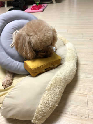VivianHwang님이 올린 리뷰 사진 4