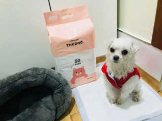강윤정님이 올린 리뷰 사진 3
