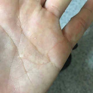 KellyChoi님이 올린 리뷰 사진 4