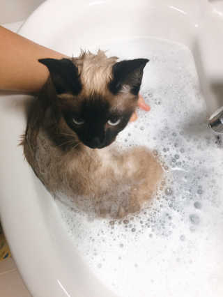 빙주부님이 올린 리뷰 사진 3