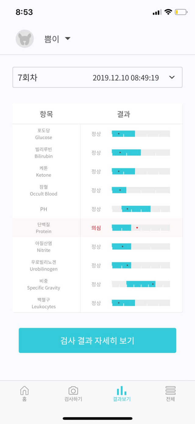 핏펫 어헤드 리뷰 사진