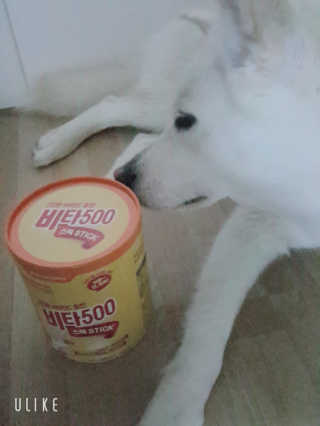 딸랑구둘🥰님이 올린 리뷰 사진 1