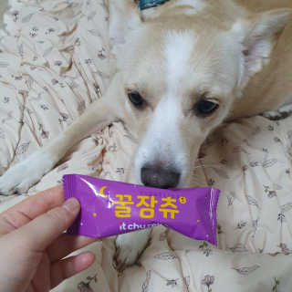 엘리님이 올린 리뷰 사진 1