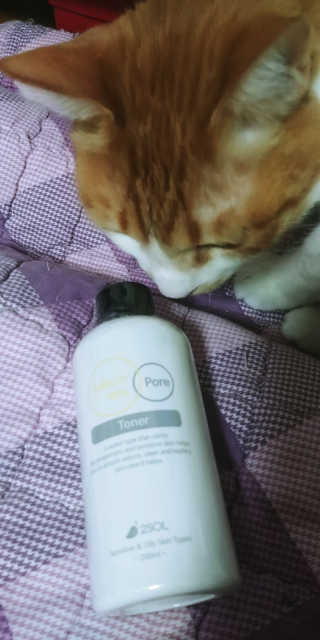 이솔화장품 이솔 세범 리스 포어 토너 200ml — 4.5점을 준 리뷰어가 2018년 8월 올린 사용 사진
