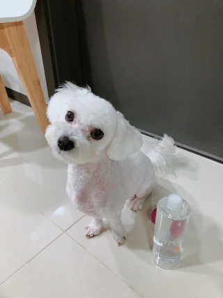 우주님이 올린 리뷰 사진 2