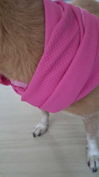 유진오님이 올린 리뷰 사진 2