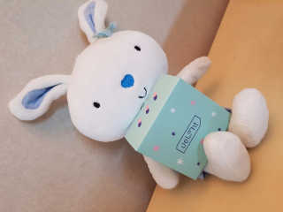 보리님이 올린 리뷰 사진 1