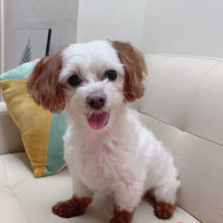 챔미님이 올린 리뷰 사진 2
