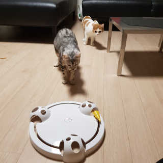 미슝이님이 올린 리뷰 사진 1