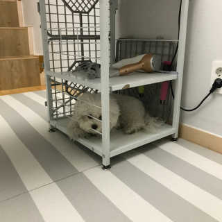 박리뷰왕님이 올린 리뷰 사진 2