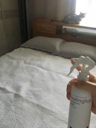 haeri님이 올린 리뷰 사진 1