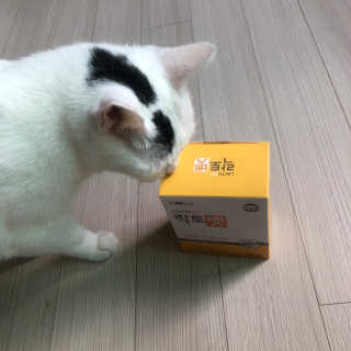 유산균하우스 [프로바이오닉]락토벳 — 4점을 준 리뷰어가 2019년 8월 올린 사용 사진