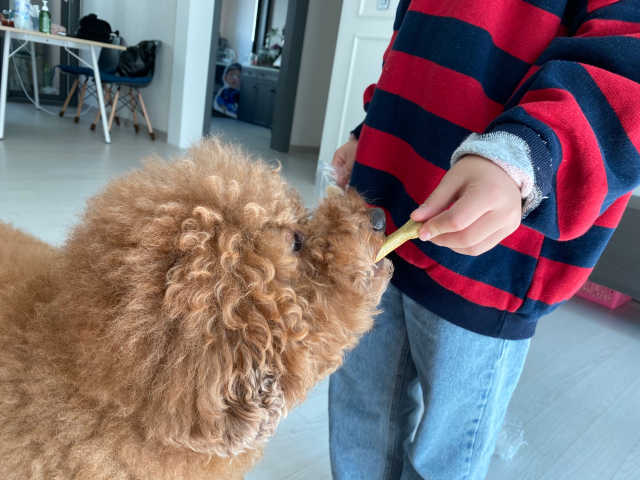 고구마치즈스틱 + 멸치쿠키 + 소간칩쿠키 [쿠키3종] 리뷰 사진