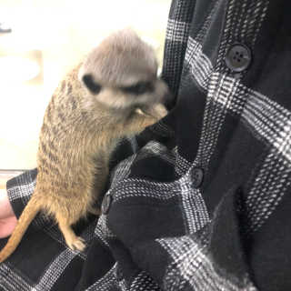잉뚜잉님이 올린 리뷰 사진 4