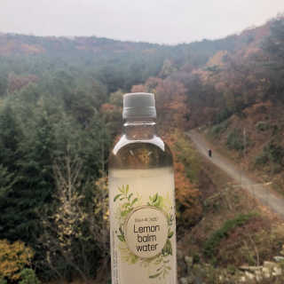 인디님이 올린 리뷰 사진 2