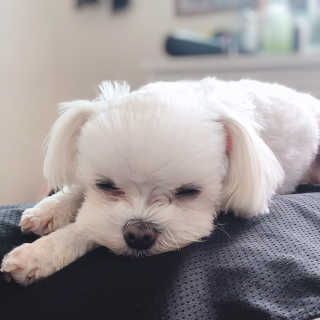 VV님이 올린 리뷰 사진 3