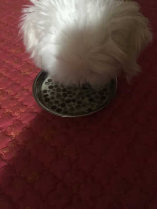 홍시님이 올린 리뷰 사진 3