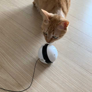 수경이야님이 올린 리뷰 사진 3