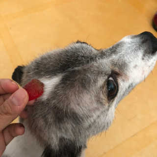은해짱님이 올린 리뷰 사진 3