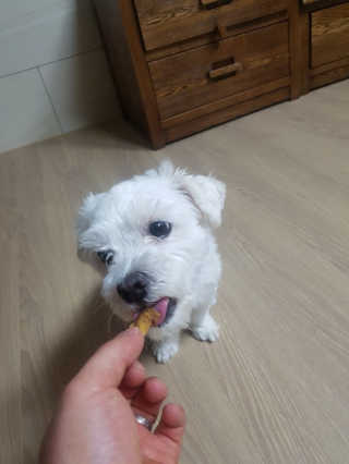 띠로링님이 올린 리뷰 사진 1