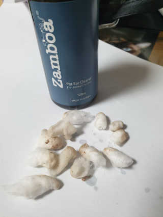 하루룽님이 올린 리뷰 사진 4