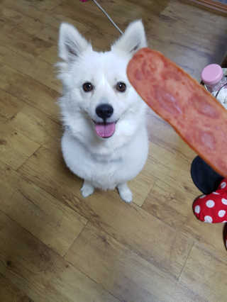 쪼꼬밍💖님이 올린 리뷰 사진 1