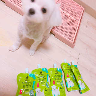 닥터할리펫밀크 8종 — 4.83점을 준 리뷰어가 2018년 9월 올린 사용 사진