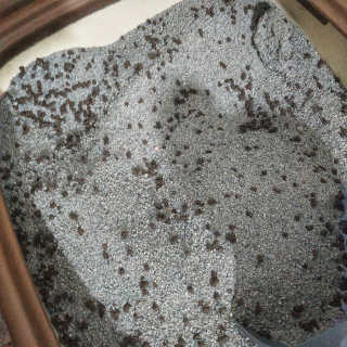 맛있는돼지고양이님이 올린 리뷰 사진 2