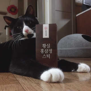 나르미르님이 올린 리뷰 사진 1