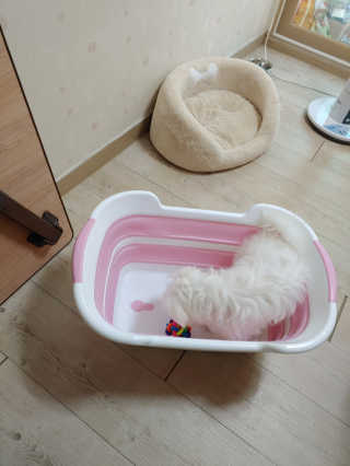 보따리님이 올린 리뷰 사진 2