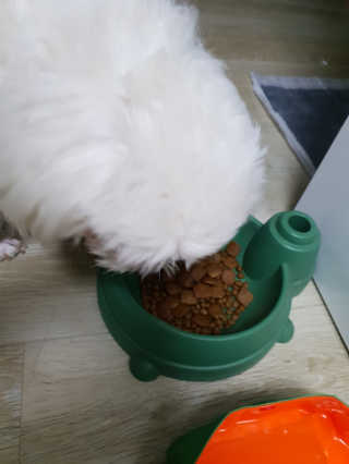 꼬냥꼬냥님이 올린 리뷰 사진 1