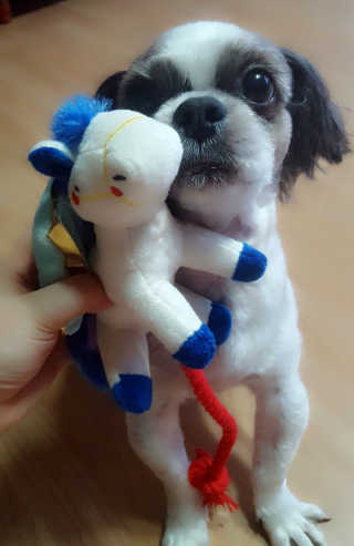 하이루하이루님이 올린 리뷰 사진 2