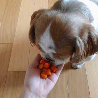 조아조아님이 올린 리뷰 사진 3