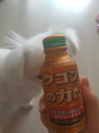꽃당님이 올린 리뷰 사진 1