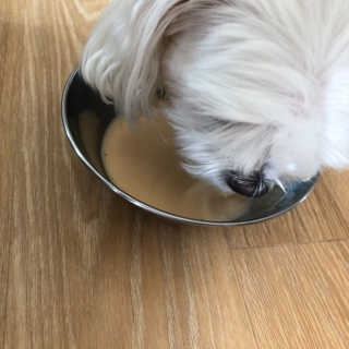 댕민님이 올린 리뷰 사진 4