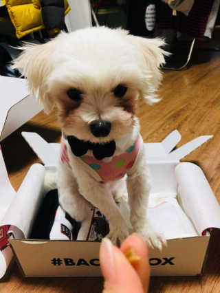 HS님이 올린 리뷰 사진 1