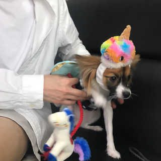 웅비님이 올린 리뷰 사진 3