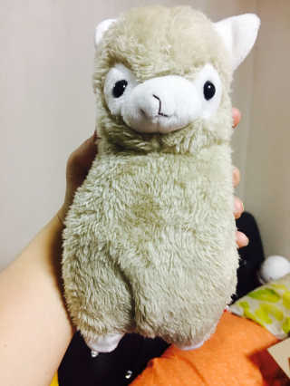 kangvely95님이 올린 리뷰 사진 1