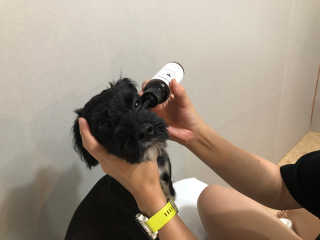 유짱님이 올린 리뷰 사진 3